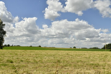 Les cumulus de beau temps au dessus du paysage rural à Écaussinnes-d'Enghien (Soignies)