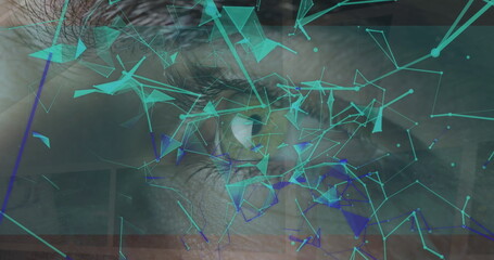 Image of data processing over eye and shapes