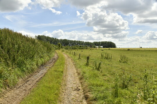 Chemin ou v&eacute;g&eacute;tation sauvage entre deux parcelles de terrain &agrave; &Eacute;caussinnes-d'Enghien (Soignies)