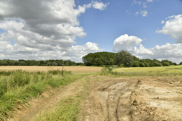 Fototapeta premium Champ de terre sous un ciel changeant à Écaussinnes d'Enghien (Soignies)