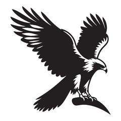 High-flying Hawk silhouette, surveying its domain – Hawk illustration – Minimalist Hawk vector – Bird silhouette

