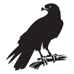 Flight of the Hawk silhouette, fierce and free – Hawk illustration – Minimalist Hawk vector – Bird silhouette

