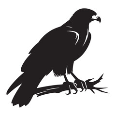 Hawk silhouette in a dive, razor focus – Hawk illustration – Minimalist Hawk vector – Bird silhouette

