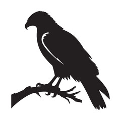 Hawk silhouette against the setting sun – Hawk illustration – Minimalist Hawk vector – Bird silhouette

