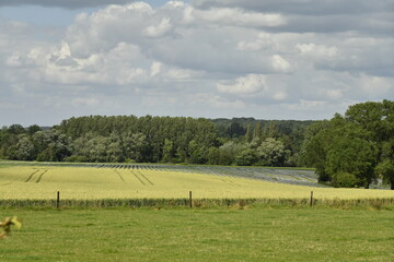 Paysage rural entre champs et prairies sous les cumulus de beau temps &agrave; &Eacute;caussinnes d'Enghien 