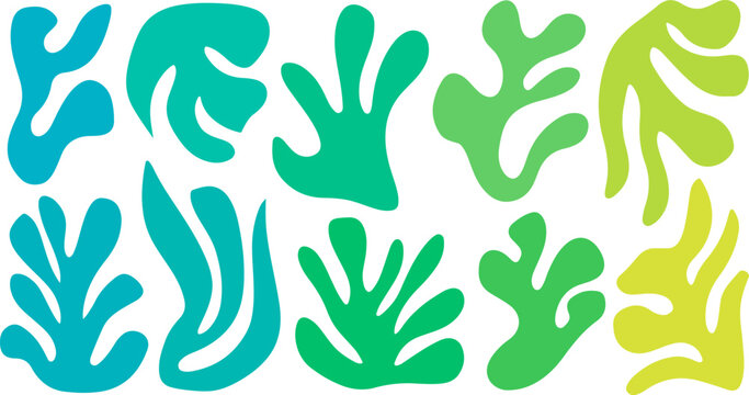 Colorful aquatic plant illustration. Abstract geometric organic shapes. Vector art.