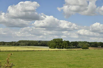 Fototapeta premium Paysage rural entre champs et prairies sous les cumulus de beau temps à Écaussinnes d'Enghien 