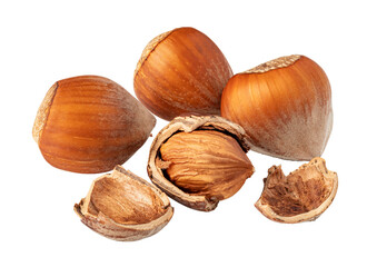 Hazelnuts falling on transparent background, whole and cracked nuts