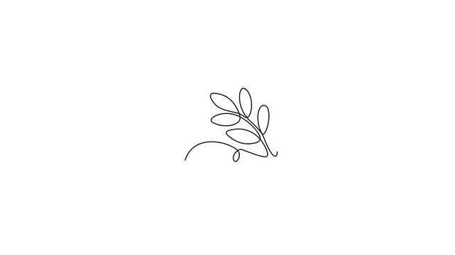 Parrot on branch with leaf, animated self drawing of single continuous line, contour movement, video drawing of line in 4k, abstract, exotic bird, tropical decor, one line