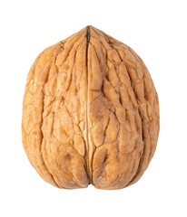 Whole walnut shell isolated on transparent background