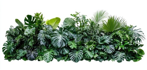 Lush tropical plant arrangement