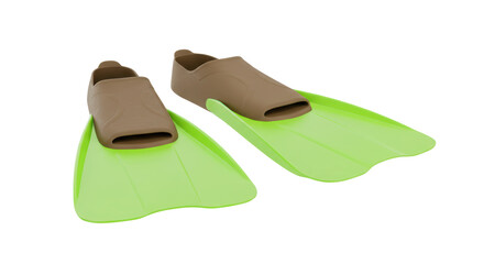 Isolated Swim Fins