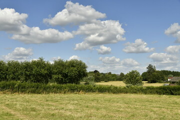 Paysage rural entre bois et prairies &agrave; &Eacute;caussinnes-d'Enghien (Soignies)