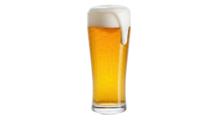 Isolated Tall Glass of Beer