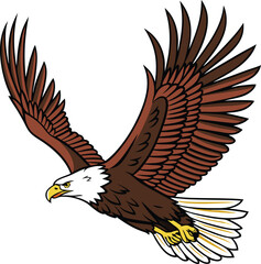 Colored Eagle Design Illustration. Eagle Bird Colored Art Design. Majestic Eagle Colored Drawing. Flying Eagle Flat Style Artwork