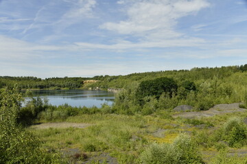 Végétation sauvage près d'une ancienne carrière remplie d'eau à Écaussinnes-D'enghien 