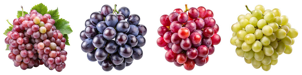 Fototapeta premium Isolated Bunches of Grapes Collection - Red, Purple, Currant, and Green Grape Varieties on Transparent Background for Food Packaging, Wine Labels, and Culinary Design