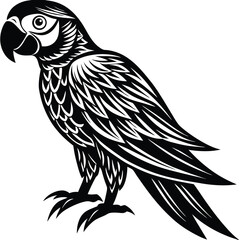 Adobe IllustraSouth American rainforest blue and gold macaw flying parrottor Artwork