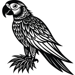 Adobe IllustraSouth American rainforest blue and gold macaw flying parrottor Artwork