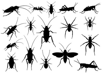 Identifying common household pests silhouette vector illustration for pest control services guide line art on transparent background


