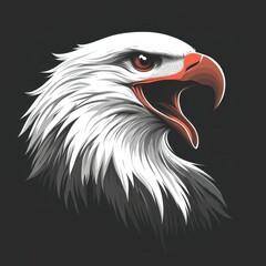 Obraz premium Eagle with fierce expression and intricate feathers displayed against a dark background at an artistic perspective