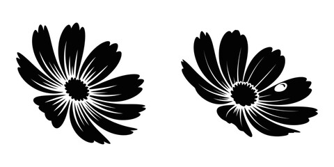 Engraving of Daisy, Daisy flower vector illustration, Spring Flower Icon, Daisy illustration flower simple vector, Pink flower illustration floral daisy vector, Common daisy blossom isolated on white 