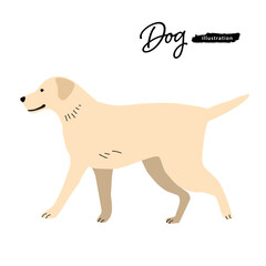 犬のイラスト_ラブラドールレトリバー