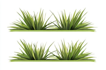 Two rows of realistic grass blades. Lush green grass tufts arranged on a horizontal plane.  A vibrant illustration perfect for graphic design