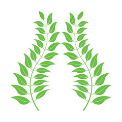 Multi color leaf  floral frame with branch logo icon vector design. 