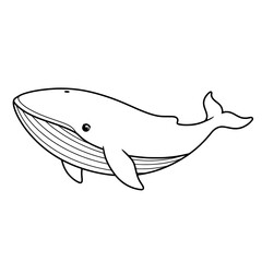 Obraz premium Whale drawing