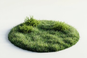Fototapeta premium Circular patch of lush green grass with small bushes