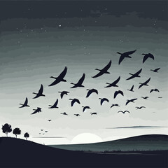 Birds
