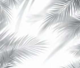 Abstract monochrome palm leaf shadows on a white background.  Silhouettes of palm fronds create a pattern, softly textured against a bright backdrop. 