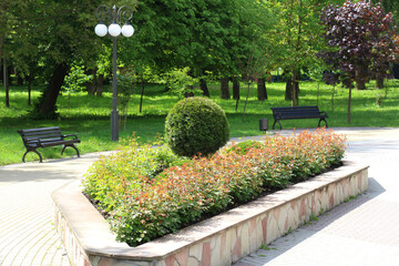 Design of landscaping in the garden, park, square, recreation area