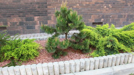 Design of landscaping in the garden, park, square, recreation area