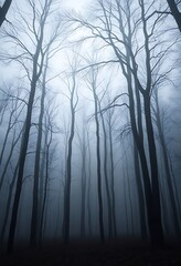 Obraz premium foggy forest filled with lots of trees