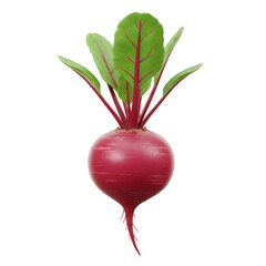 Tomato Carrot Cucumber Slices