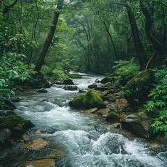 Obraz premium A tropical rainforest river with fast-flowing water, moss-covered rocks, and thick trees lining the banks.