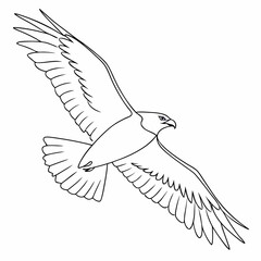 Elegant line drawing of a soaring hawk representing freedom and power