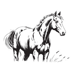 Vintage Engraving woodcut Horse retro vector art illustration design.	