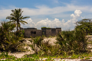 A ruin of an abandoned house on the beach in Mozambique, overgrown by indigenous palm trees.