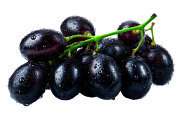 Fresh black grapes with water droplets on a transparent background