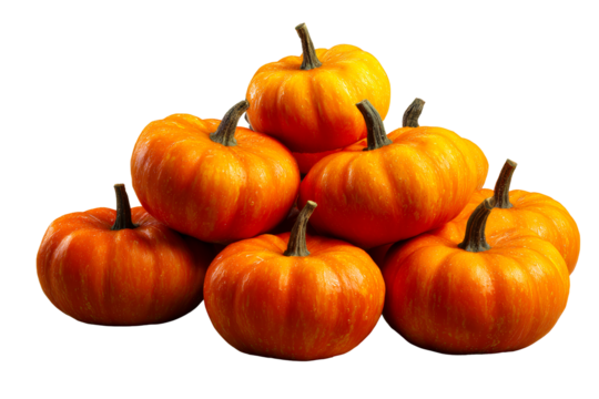 Colorful pumpkin display arranged in a pile for autumn decoration