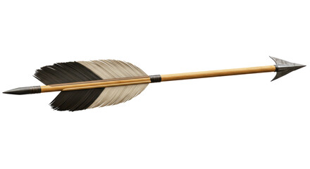 Isolated Arrow with Feather Fletching