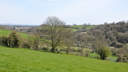 Scenic view of a green farmland field in a valley in early spring