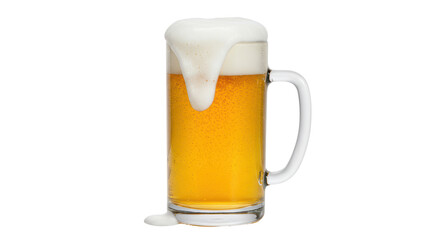 Isolated Beer Mug with Foam