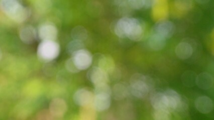 Green bokeh blurred shiny abstract background with a glowing holiday sparkle