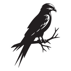 Elegant Kite silhouette catching the wind – Kite illustration – Minimalist Kite vector – Bird silhouette


