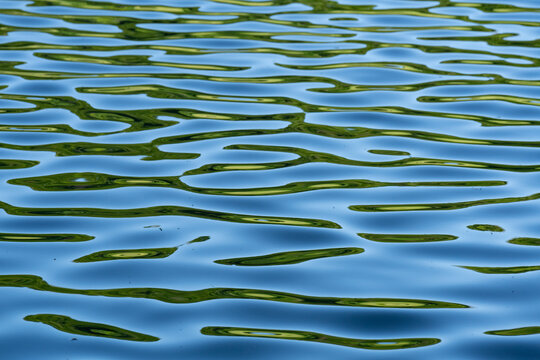 Blue water surface