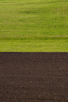 Green grass field